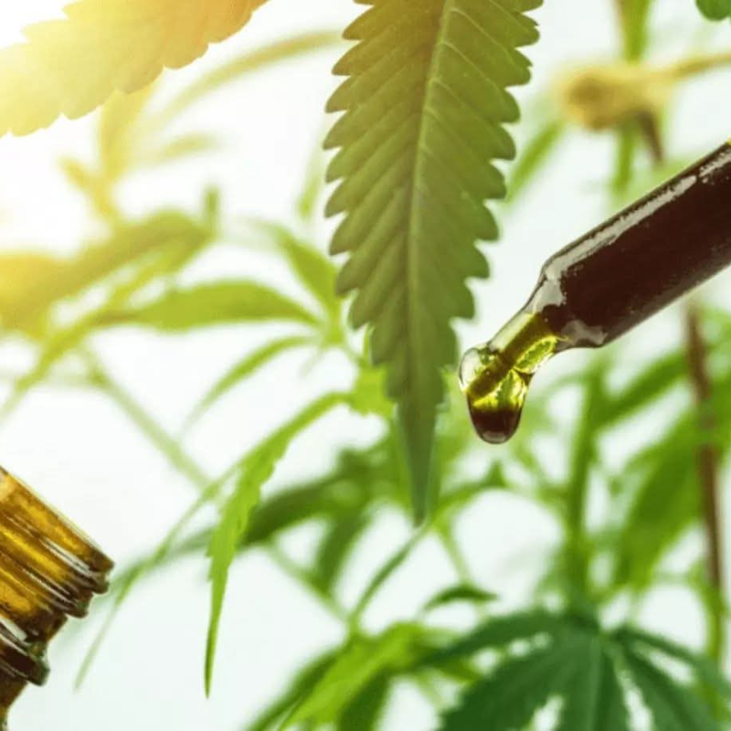 THC Oil Drops / 10ml / %20 RSO(THC) - Image 3